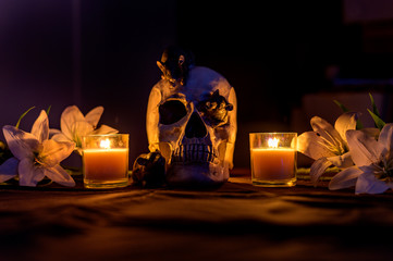 spooky halloween skull sitting inbetween 2 glass candles in darkness