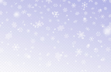 Fototapeta na wymiar Heavy snowfall, snowflakes in different forms. Many white cold flake elements on transparent background. Snowflakes flying in the air. Snow background. Vector illustration