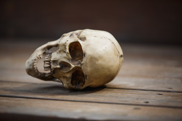 A human skull on a wooden background is illuminated by soft light. Halloween postcard layout