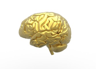 3D Render of Brain in Shiny Gold color