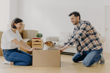 Fototapeta na wymiar Funny young woman and man have fun during relocation, pose on floor with dog in cardboard box, just moved into apartment, dressed in domestic clothes, sofa and pile of containers in background