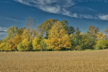Fototapeta na wymiar autumn landscape with colorful forest and plowed field, view on a sunny day