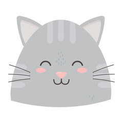 cute gray cat head close eyes
