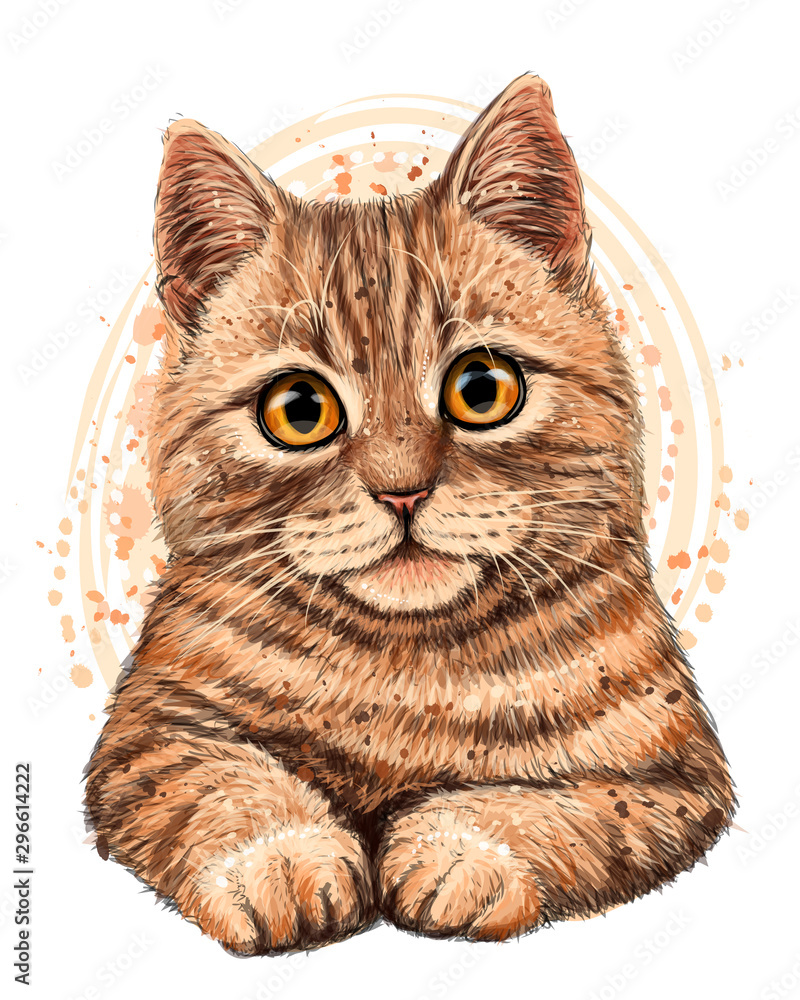 Wall mural cat. the color, graphic, artistic drawing of a cute cat on a white background with a spray of waterc