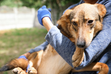 Female volunteer with homeless dog at animal shelter outdoors