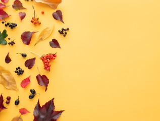 Autumnal composition on yellow background. Copy space