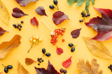 Autumnal composition on yellow background. Flat lay. Top view.
