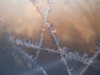 Frost