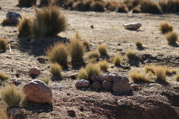 Obraz premium stones in desert