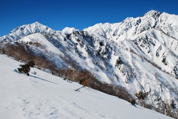 Fototapeta na wymiar Back country skiing in Hakuba valley, Nagano