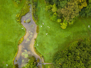 Aerial view of pond in park with green trees.