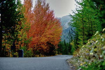 strada di montagna in autunno