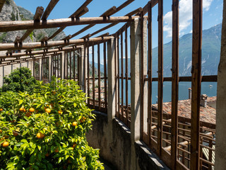 2019 of june, Limone town near Garda lake in a lemon house