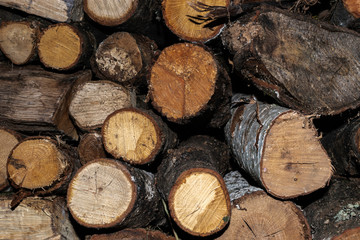 wooden logs, stacked and cut transversely