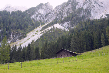 Green lawn, traditional Austrian house and forest against the backdrop of the European Alps. Bright sunshine. Gosauzen Region, Austria