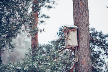birdhouse from wood in the winter snow covered forest on natural background on pine tree