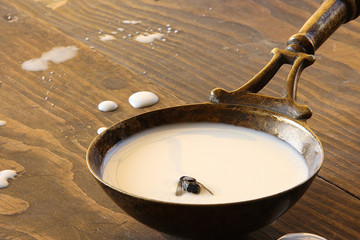 Black fly in milk in a spoon on a wooden table background