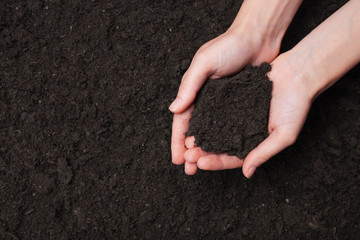 Woman holding fertile soil in hands. Top view