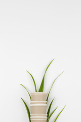 eco friendly disposable, compostable, recyclable paper cups with plant branches on white background.