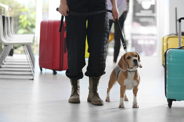 Officer with dog near suitcase in airport, closeup