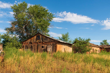  Barn and Tree in a Field