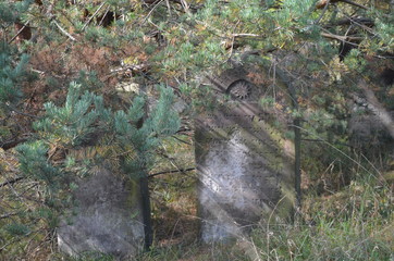 Kirkut, cmentarz Żydowski na Kierkowie, Żąrki, Polska - 296620273
