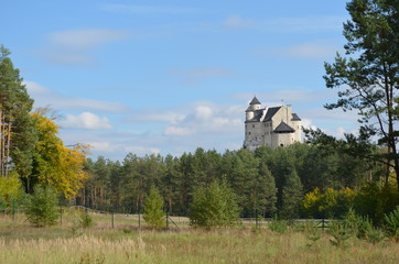 Zamek królewski w bobolicach, Szlak Orlich Gniazd, polska