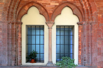 Fototapeta na wymiar ancient medieval windows with plant