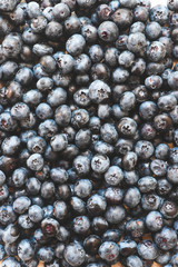 Blueberry. Background of a blueberry. Summer concept.