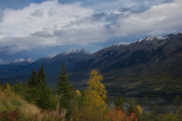 Canadian Rockies_5230