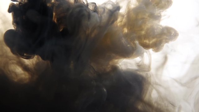 Black and white ink mix in water on a white isolated background in slow motion. Inky cloud swirling flowing underwater. Abstract smoke explosion