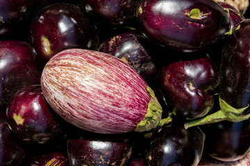 Light purple and dark group of organic eggplants