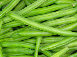 Grüne Bohnen, Phaseolus vulgaris