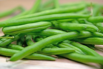 Gartenbohnen, Phaseolus vulgaris