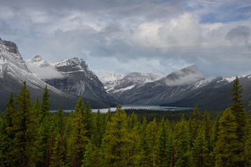 Canadian Rockies_5256