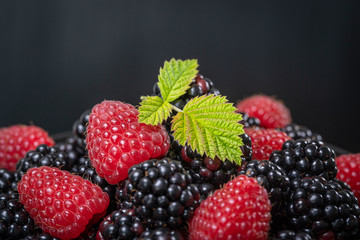 Background from fresh organic blackberries and raspberries,. Close up blackberry and raspberry