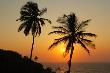 Fototapeta na wymiar Beautiful sunset over the sea and silhouette of palm trees in Goa, India.