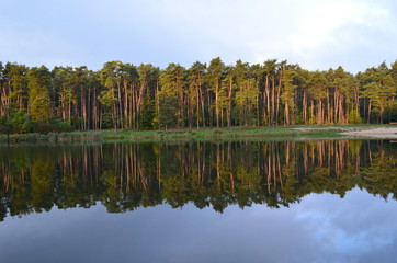 Staw Amerykan w Złotym Potoku jesiennym porankiem, Jura krakowsko-Częstochowska, Polska © Ewa