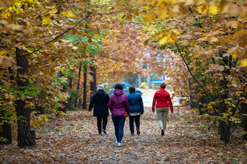 Jesienny las liściasty z grupą spacerujących. 