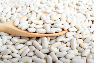 One wooden spoon in many fresh organic white beans in warm light, top view