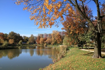 Bytom autumn park