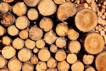Firewood background