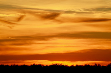 Orange sunset over wheat field