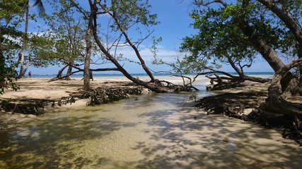 Fototapeta na wymiar Dominican natural Beach