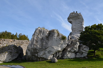 Ostańce - wapienne skały, Jura Krakowsko-Częstochowska, Ogrodzieniec, Polska © Ewa