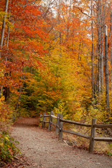 Fall Foliage in Vermont New England