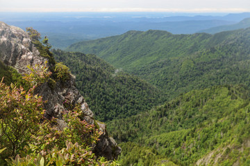 Fototapeta premium View from Charles Bunion on the Appalachian Trail, Great Smoky Mountains