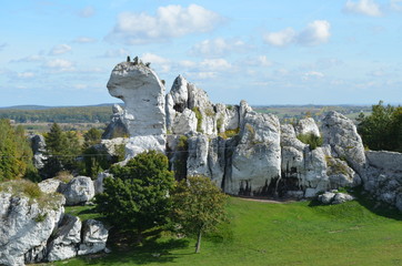Ostańce - wapienne skały, Jura Krakowsko-Częstochowska, Ogrodzieniec, Polska