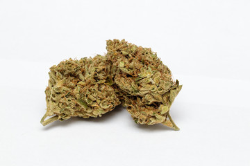 Cultivated and dried marijuana buds ready for consumption