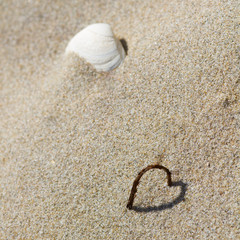 Sea shell in the sand with a heart symbol in the foreground